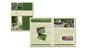 Publication for Crown Landscape Design